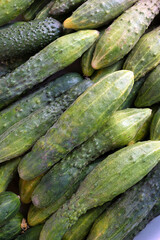 Close Up Texture Of Green Fresh Cucumbers.