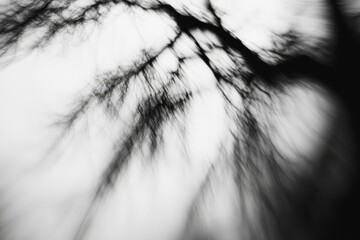 Abstract black and white motion blur image of tree branches against a light sky.