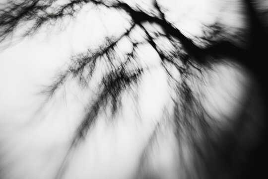Abstract black and white motion blur image of tree branches against a light sky.