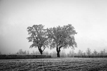 Winterliche Landschaft in der Eifel