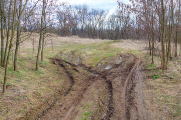 dirt road with deep tire tracks in a grassy forest in early spring. Landscape photo of nature in...