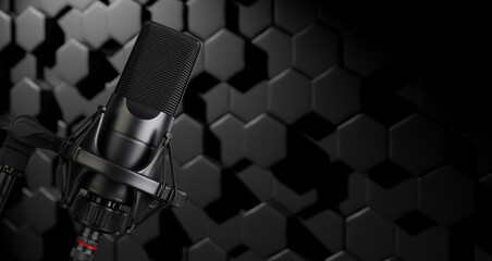 Professional microphone for sound recording and podcast
