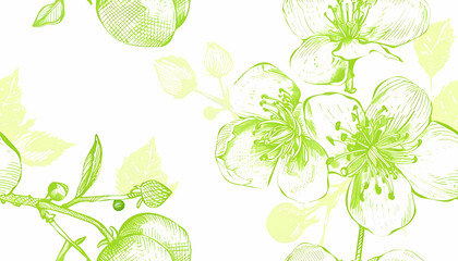 Lime Green Floral Illustration Background
