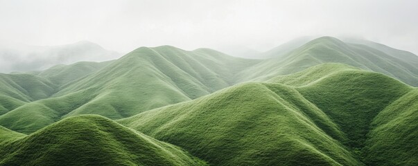 Misty green rolling hills and mountains landscape.