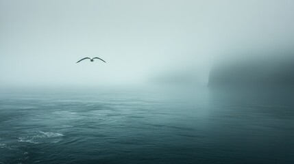 Obraz premium A solitary bird glides over a tranquil, fog-covered sea, evoking a sense of calm and solitude.