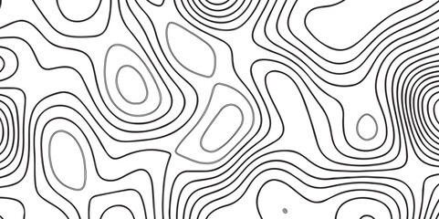 Topographic contours map background. Panorama view gradient multicolor wave curve lines.  Abstract Topographic map background with wave line. White wave paper curved. Transparent PNG available. Blank.