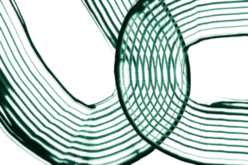 DIY waved textured background png in green experimental abstract art