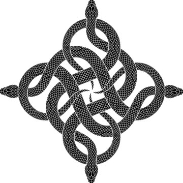 Vector tattoo design of four black snakes knotted in form of cross symbol. Isolated black serpent silhouette in square shape.
