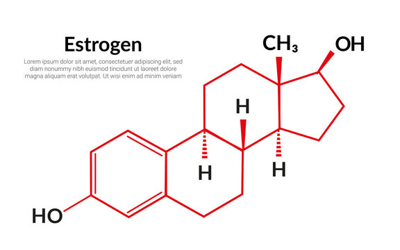 Estrogen sex hormone molecular structure formula, suitable for education or chemistry science content