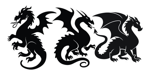Beautiful Dragon silhouette vector art illustration with white background