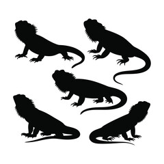 Set of bearded dragon silhouette  with white background