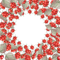 Round frame of bramble berries,watercolor illustration. Hand-painted watercolor drawing of bramble berries