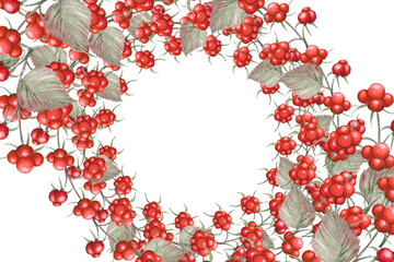 Round frame of bramble berries,watercolor illustration. Hand-painted watercolor drawing of bramble berries