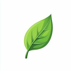 Design of leaf icon logo illustration isolated on white background