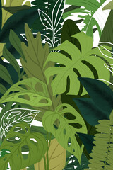 Background PNG green tropical illustration
