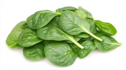 Fototapeta premium Fresh Green Spinach Leaves Isolated on a White Background Healthy Food Concept