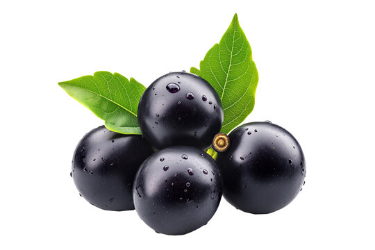 Fresh dark purple acai or Jabuticaba berries with green leaves, isolated on white transparent background. Concept of healthy nutrition and superfoods