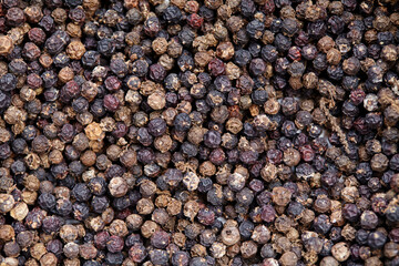 Close-up view of black peppercorns