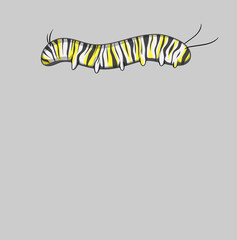 Naklejka premium Illustration of a larvae in red
