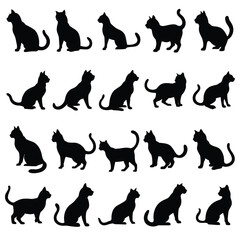 A cat silhouette black silhouette vector