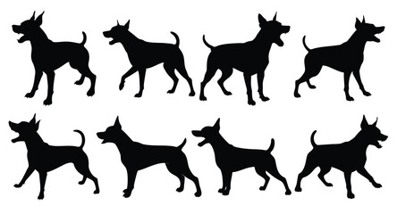 A set of aggressive and angry zwergpinscher puppy vector silhouette