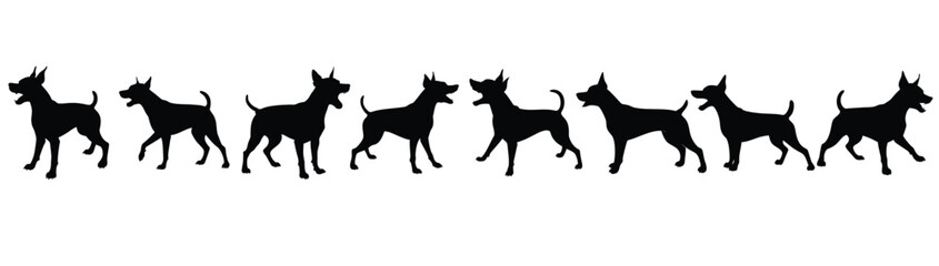 A set of agressive and angry zwergpinscher puppy vector silhouette