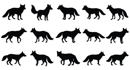 A set fox vector silhouette
