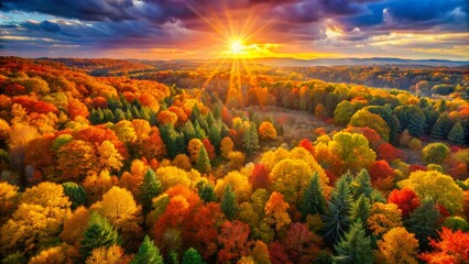 Golden Autumn Forest Park Landscape - Aerial Drone View, Fall Foliage Wallpaper