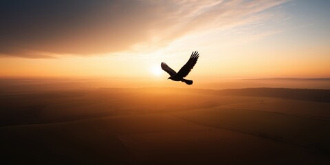 A large hawk flying high in the sky at sunrise