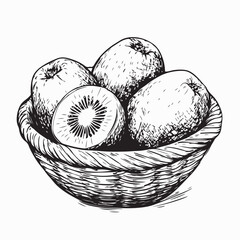 Kiwi Fruit Basket Image vector. Basket with fresh kiwi fruit on white background