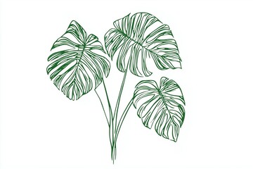Monstera deliciosa continuous line drawing