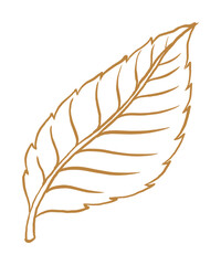 Rose's leaf png tattoo art, brown vintage nature sticker