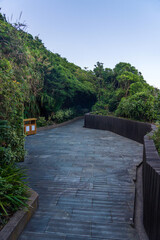 Serene Pathway Through Lush Greenery in a Nature Park