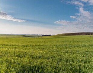 Fototapeta premium Wide and expansive spaces featuring elements like a wide horizon, open field, and panoramic view representing vastness, freedom, and open spaces.