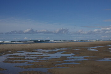 Texel island with the beach