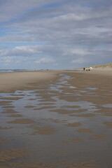 Texel island with the beach