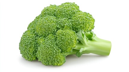 Fresh broccoli with vibrant green florets on a white background.