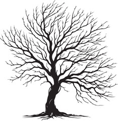 Obraz premium Vector art illustrations of a leafless tree silhouette 