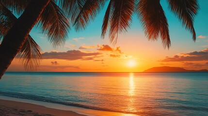 Tropical beach with palm trees