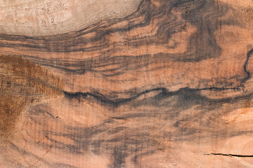 Naklejka premium texture of wood, texture background, background, wooden background, wood texture, Close-up of Wood texture, natural wood pattern, Old wood texture background, Abstract texture
