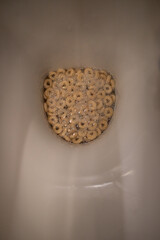 Cereals in the toilet, concept photography 