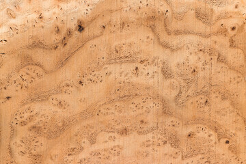 texture of wood, texture background, background, wooden background, wood texture, Close-up of Wood texture, natural wood pattern, Old wood texture background, Abstract texture