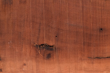 texture of wood, texture background, background, wooden background, wood texture, Close-up of Wood texture, natural wood pattern, Old wood texture background, Abstract texture