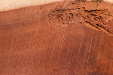 Fototapeta premium texture of wood, texture background, background, wooden background, wood texture, Close-up of Wood texture, natural wood pattern, Old wood texture background, Abstract texture