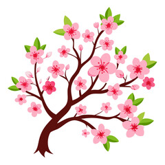 cherry blossom illustration on white background.