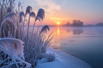 Frozen reeds reflecting stunning winter sunrise over misty river