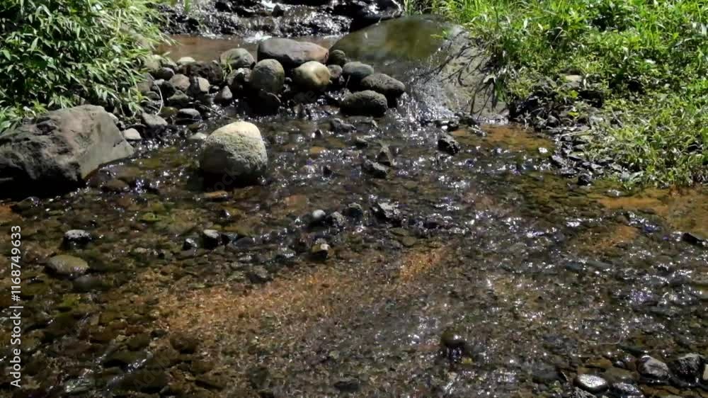 Poster small clear river flow and green grass. river structure with pebbles. environmental concepts. copy s