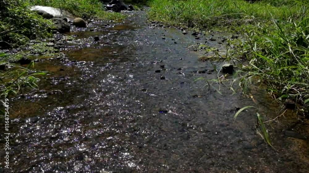 Poster small clear river flow and green grass. river structure with pebbles. environmental concepts. copy s
