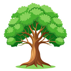 tree illustration on white background.