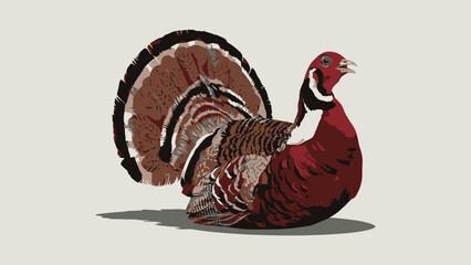 Colorful Illustration of a Pheasant Bird with Detailed Feather Design